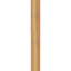 Sapin Douglas-113718481-109314278