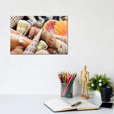 Tropical Shell Still-Life by Savanah Plank - No Frame Rectangle Painting on Canvas