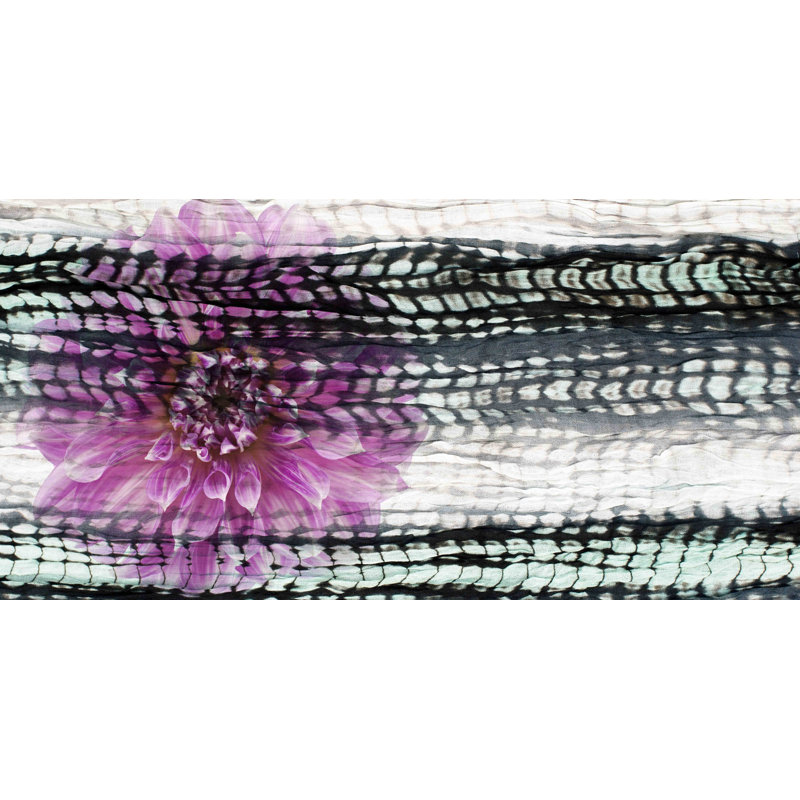 Parvez Taj - Wrapped Canvas Print, 30cm H x 61cm W x 3.81cm D