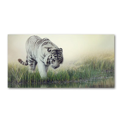 White Tiger - Wrapped Canvas Print