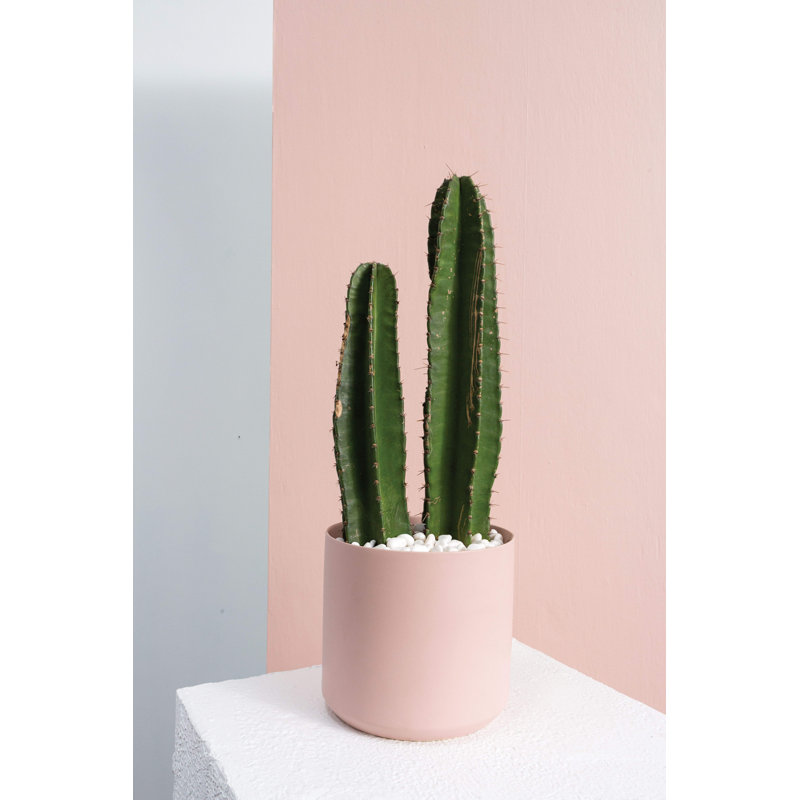 Pot à fleurs en céramique Parsons, Rose, H 2,75 po x l 3,25 po x P 3,25 po