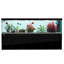 Aquarium 500 gallons en verre trempé Aqua Dream