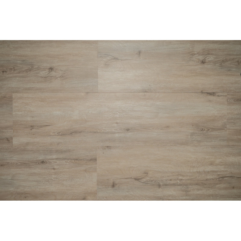 Lames de revêtement de sol en vinyle SPC Blues - 122 cm x 30 cm - Chêne Walker