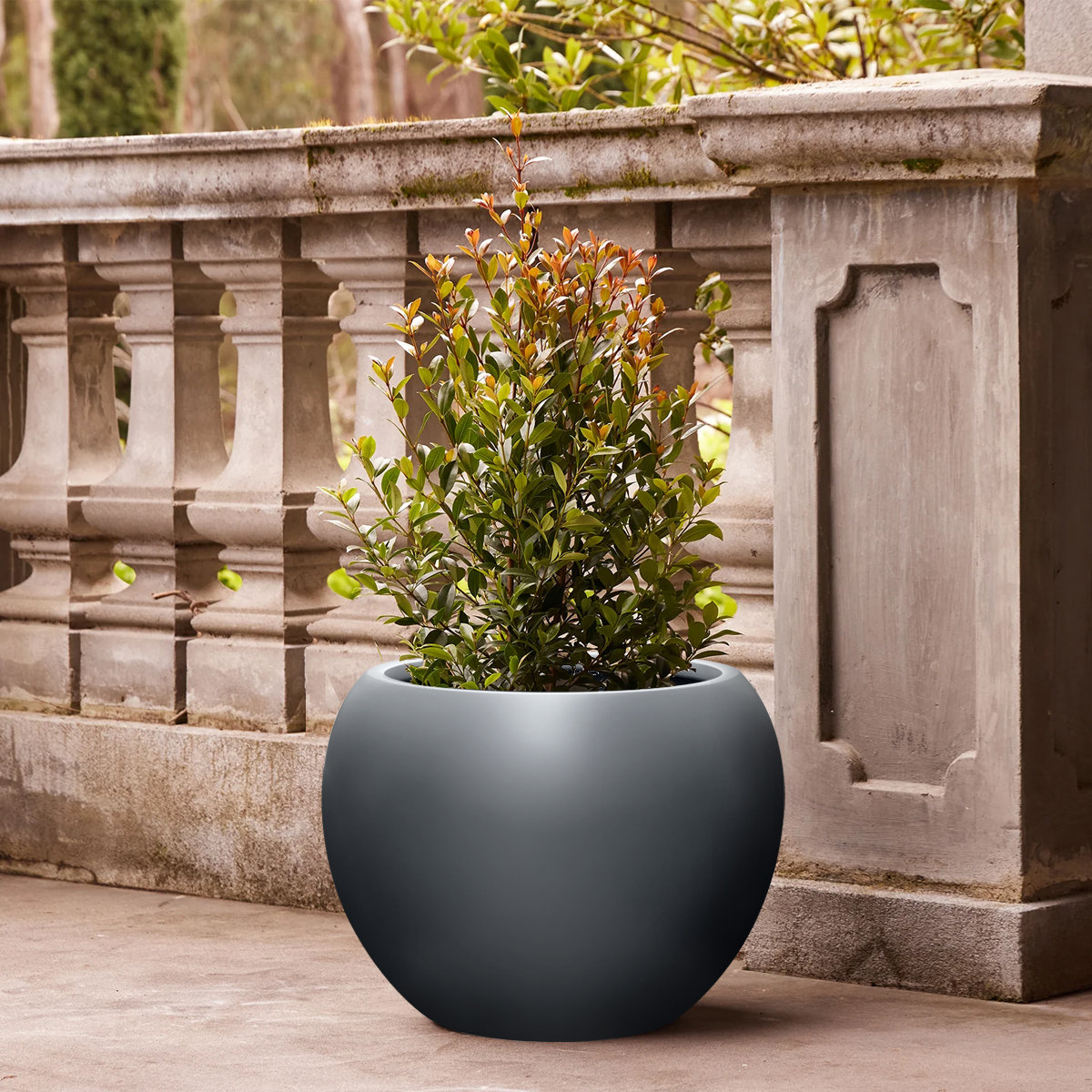 Dorlis 21" Pot Planter, 17" H x 21" W x 21" D, Charcoal