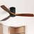 Black with  Brown Blades selected