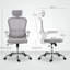Mesh Office Chair-634857189