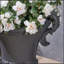 JARDINIER MGO GARDEN-1676859075