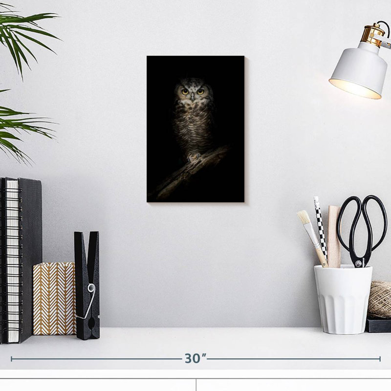 Brampt Wise Night Owl, 12" H x 8" W