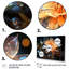 " Orange Crystal Flowers II "-1540766126-1540766127