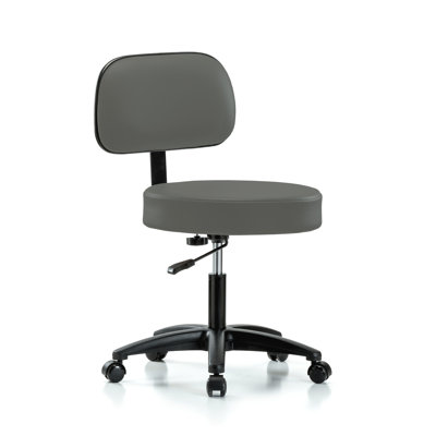 Lippencott PERCH Walter Height Adjustable Exam Stool with Backrest | Desk Height 18.5-24"
