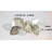 Modern Plants & Flowers Wall Decor