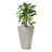 Step2 Bridgeview Square Tall Tapered Plastic Outdoor Planter-83462876-96916908