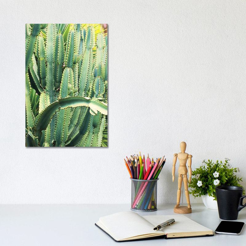 In A Cactus Mood V by Irena Orlov - Wrapped Canvas Print, 20.32 cm H x 30.48 cm W