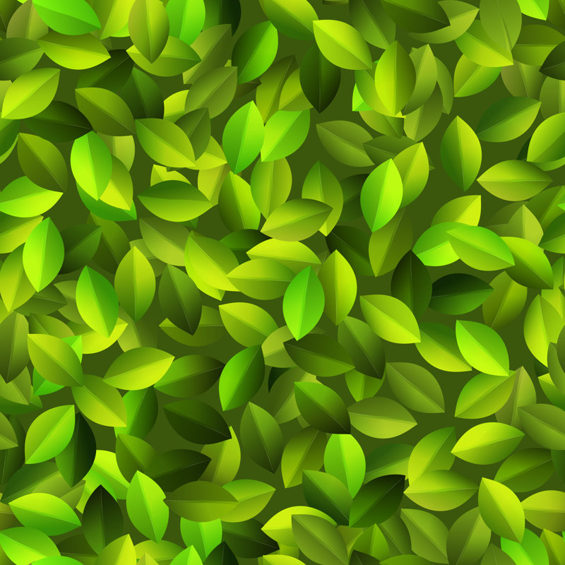«Green Leaves» par Churilo, impression sur toile tendue, H 12 po x l 12 po