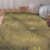 Kevon Floral Area Rug