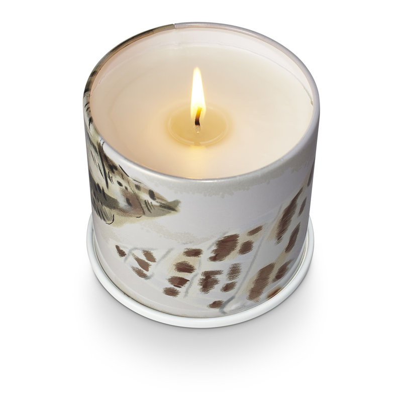 Amber Driftwood Scented Vegan Candle in Tin