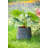 Pot Planter-69174205