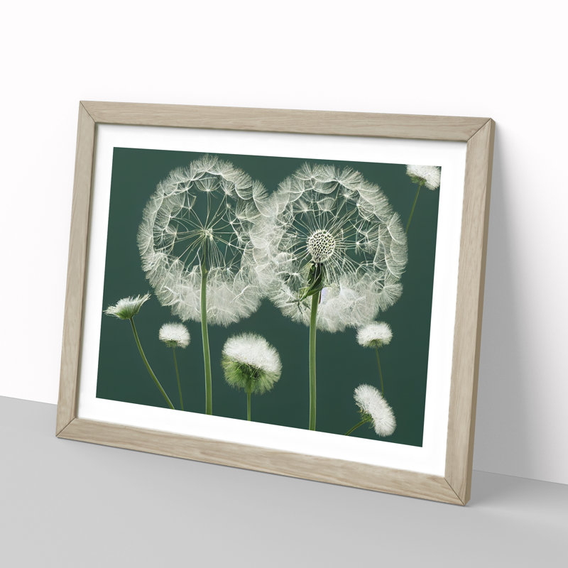 Blooming Dandelion Flowers - Single Picture Frame Print, 34cm H x 46cm W x 2cm D, Oak