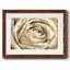 Fleur murale neutre IV-109224461-109224450
