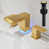Brushed Gold is out of stock selected