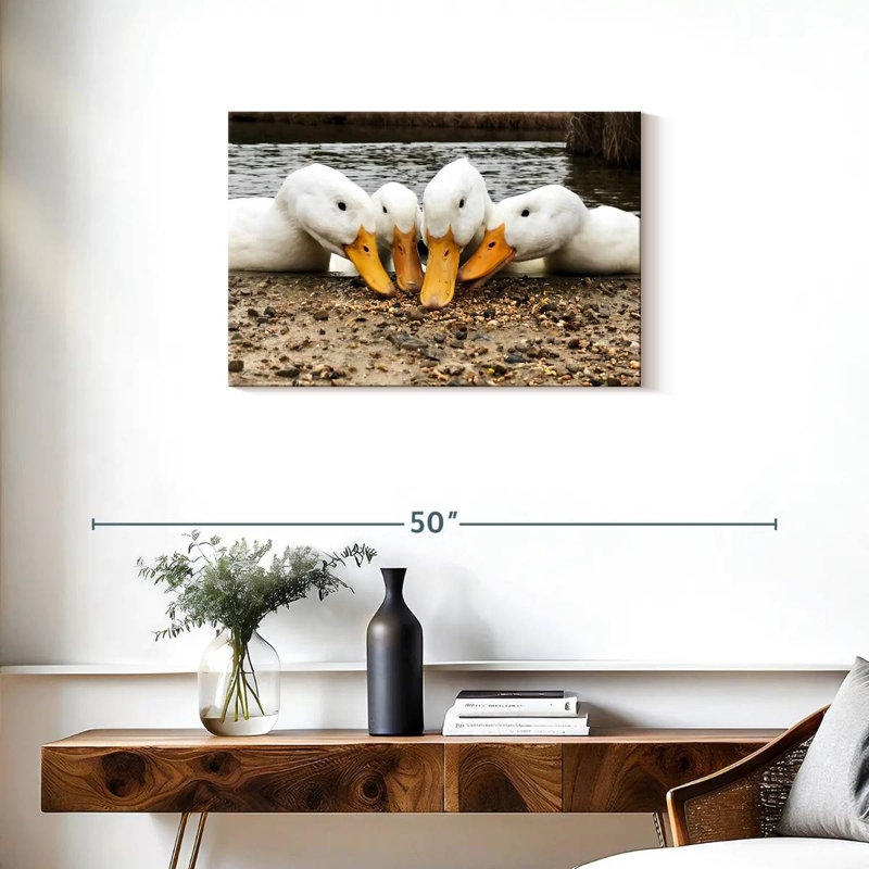 Pekin Ducks de Brampt, H 20 po x l 30 po