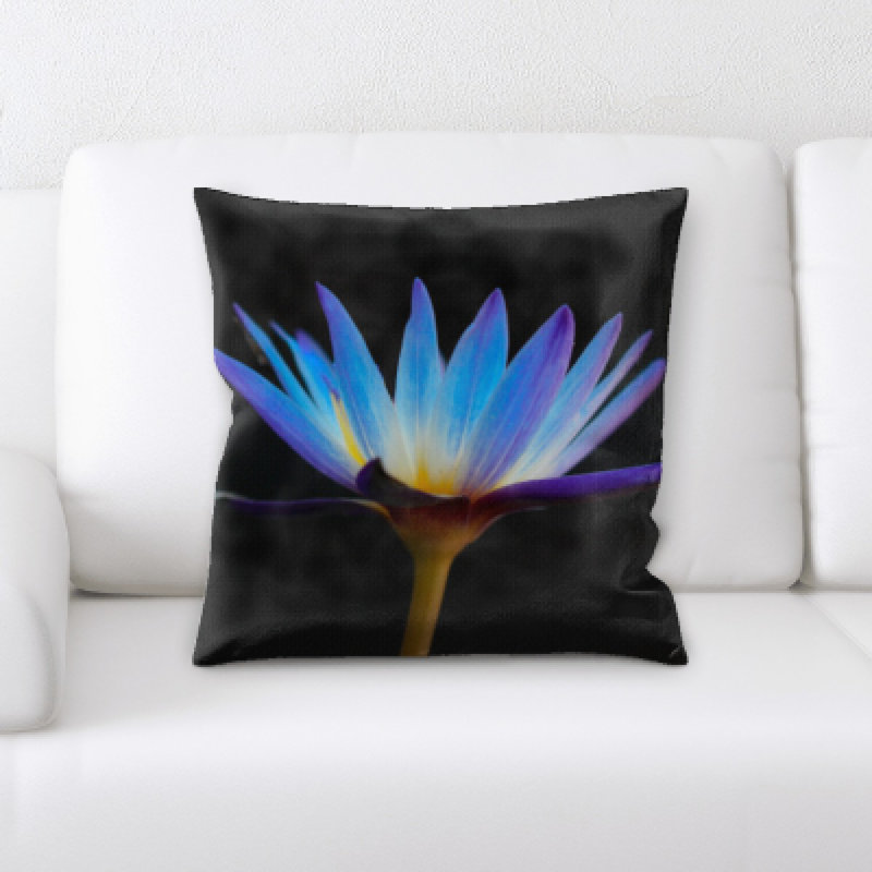 Coussin décoratif d’intérieur microsuède en microsuède east urban home, Bleu / Noir