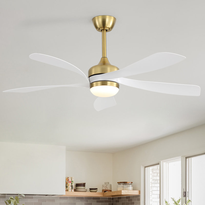 Damecia 52'' Modern Ceiling Fan with LED Light and Remote Control, Gold/White