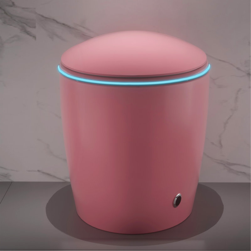 Unique Smart Toilet With Bidet Built In, Pink