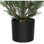 Plant-172672108-172672110