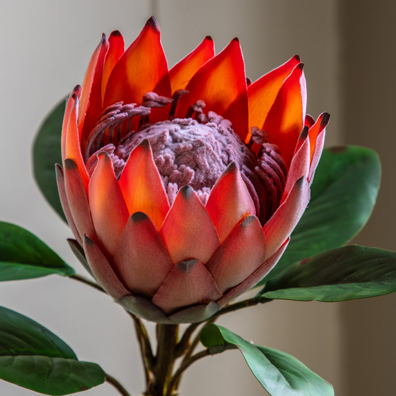 Faux Stem Tropical Arrangement 470mm (12pk), Orange