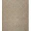 Geometric Area Rug in Gray/Brown