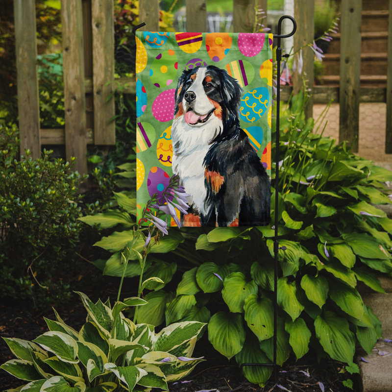 Drapeau de jardin Atara, Bouvier bernois