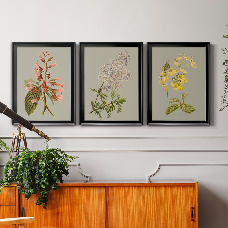 «Botanical Array I», ensemble de 3 impressions sur toile encadrées, Toile avec cadre noir, H 26,5 po x l 109,5 po x P 1,5 po