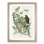 Brown-Winged Hawk by John James Audubon - Picture Frame Art Print-55513109-55513108