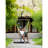 Dijonay 1 Person Cotton Chair Hammock-988535398