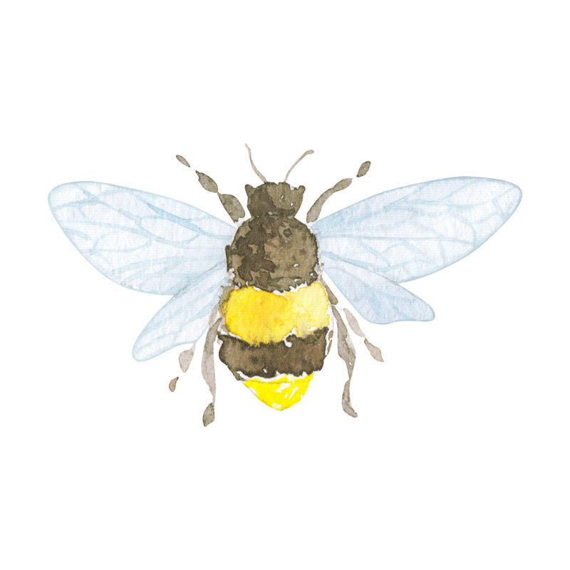 «Hibbing Little Bee On Canvas» par Anastasiia Makarenkova, peinture, H 12 po x l 12 po