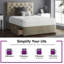 Eberhardt Upholstered Divan Bed-95753158-95755193-95755194