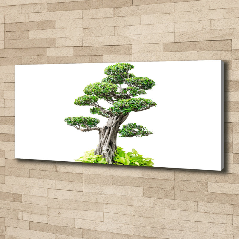 Bonsai Tree - Wrapped Canvas Print