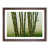 Walnut Framed