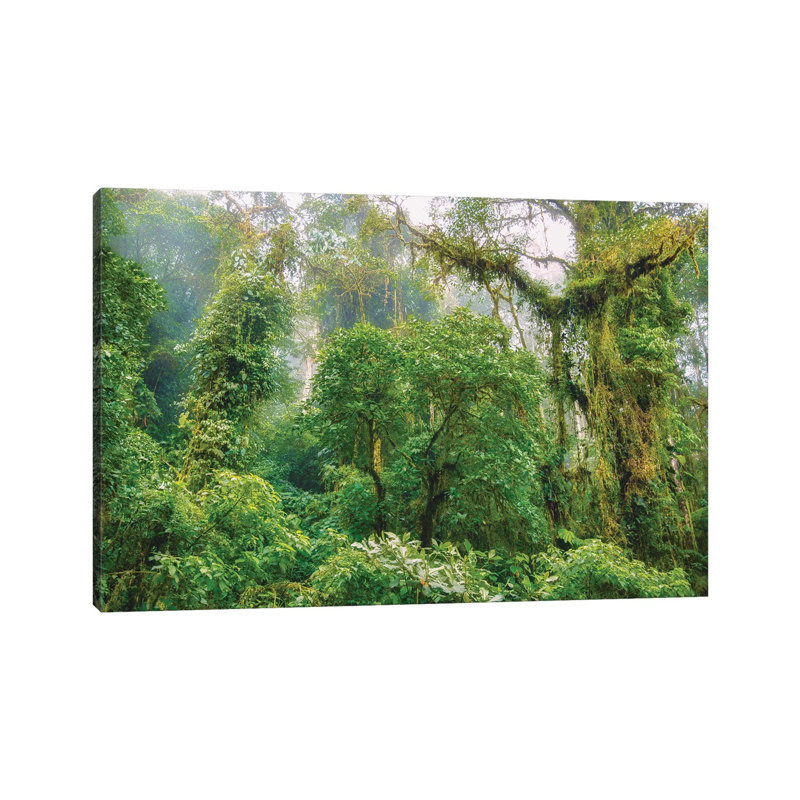 Mountain Jungle 1 Piece Wall Art on Canvas, 45.72cm H x 66.04cm W x 1.91cm D, Wrapped Canvas