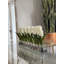 Hyancinths Floral Arrangement in Planter