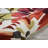 Asiha Floral Indoor Rug-19765893