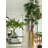 Lady 96 " H Faux Palm Tree