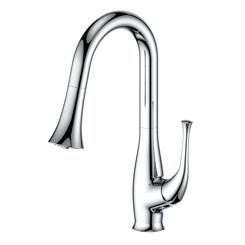 Shakespeare Pull Down Single Handle Kitchen Faucet with Side Spray and Accessories, Chrome