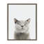 «Sourire chat» par Amy Peterson, reproduction d'art sur toile encadrée-1734545018-1623096699