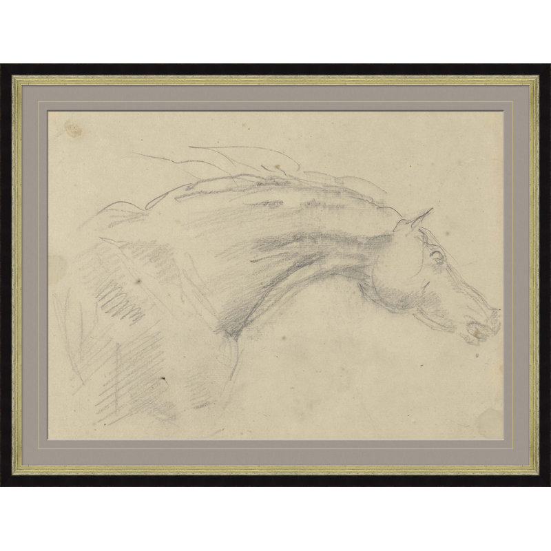 Sketch Of Horses Head Giclee Print