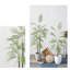 Plant-887668715-887668725