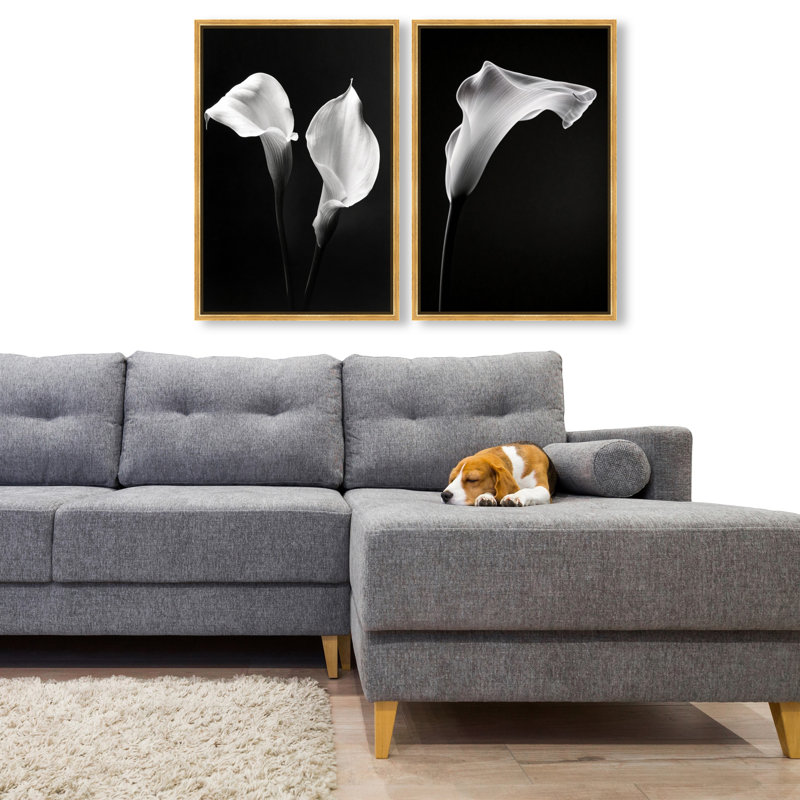 Calla Lily Set Set by Oliver Gal, Gold Floater Frame, 17"H x 25"W
