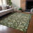 Machine Washable Indoor/Outdoor Francky ACN2358 Traditional Rug-14839536