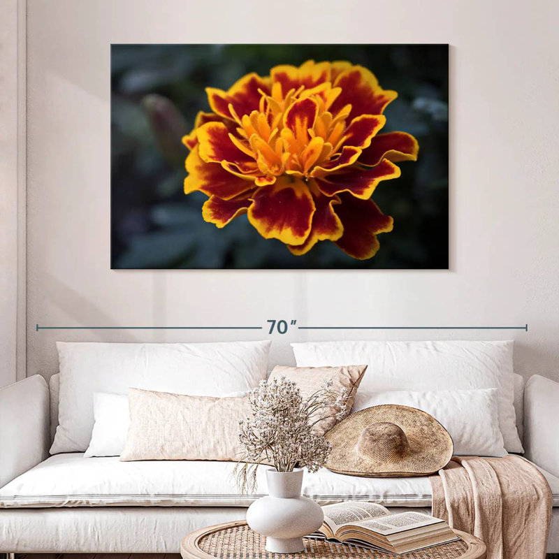Harnek Red Marigold Flower, 32" H x 48" W